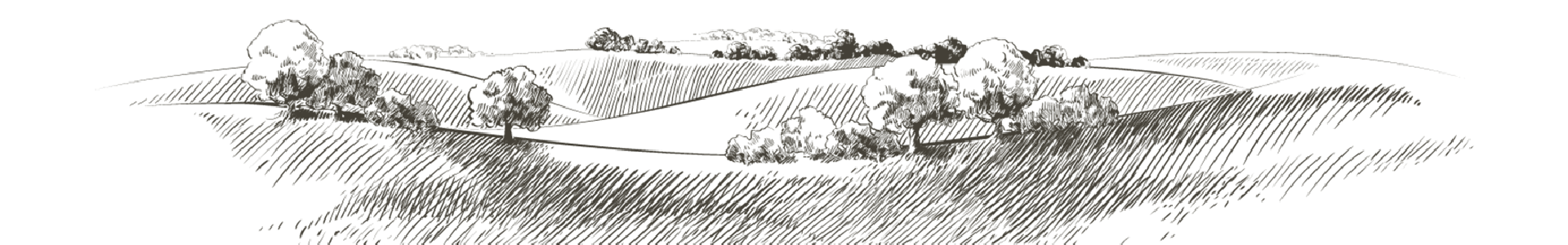 Landscape-sketch Landscape-sketch
