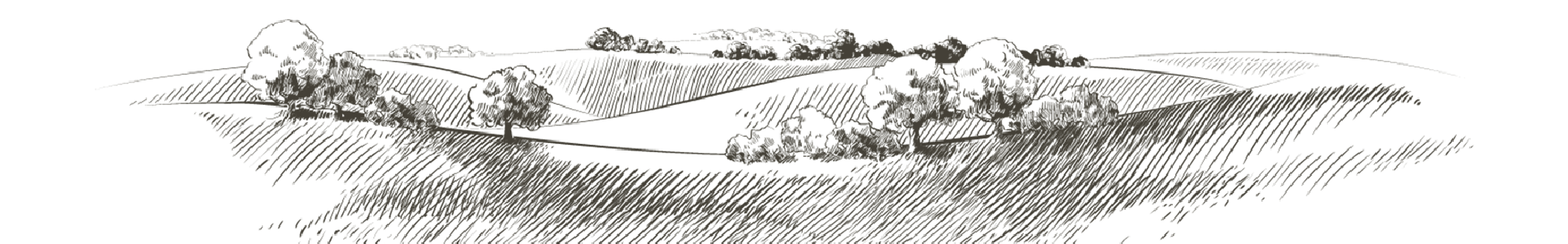 Landscape-sketch