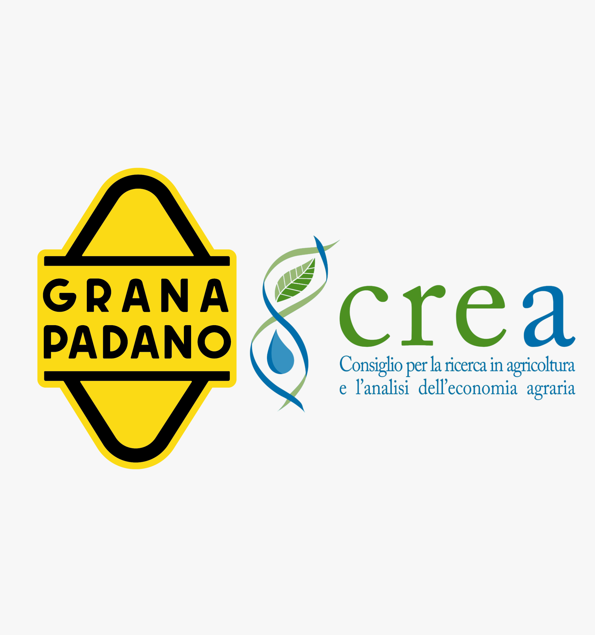 Progetto senza titolo (18)