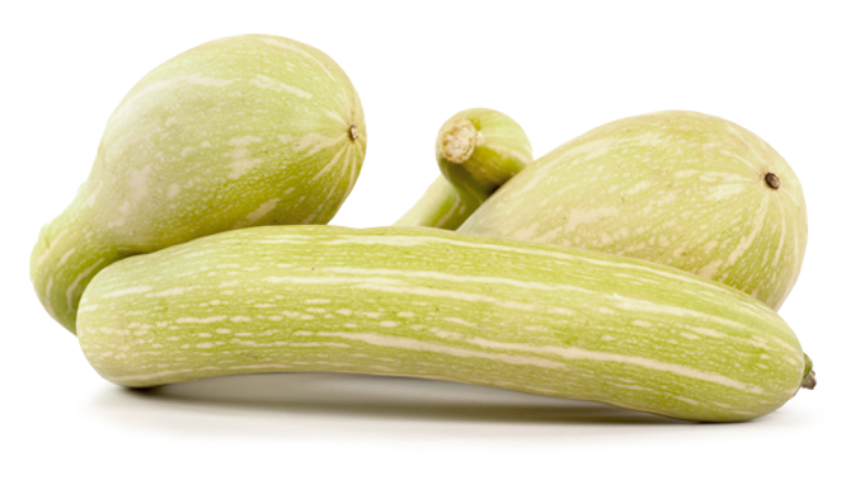Zucchine-trombetta-thumb
