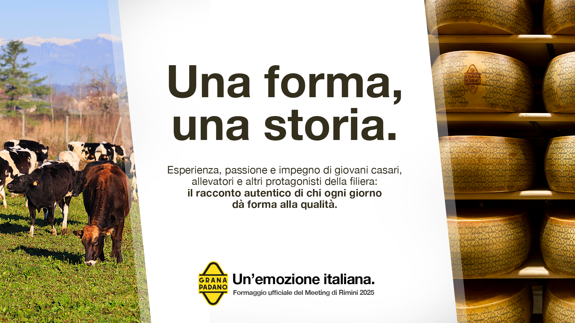 Grafica_Tv_Meeting_v2