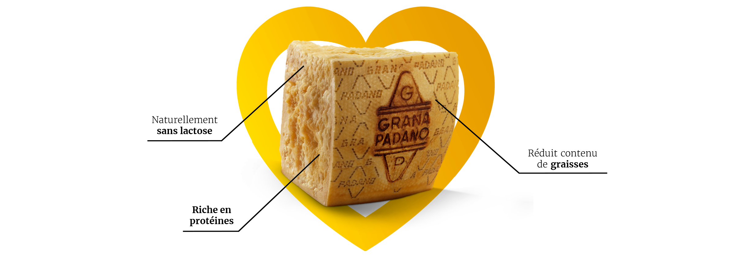 Heart-GP-mobile-fr Heart-GP-mobile-fr