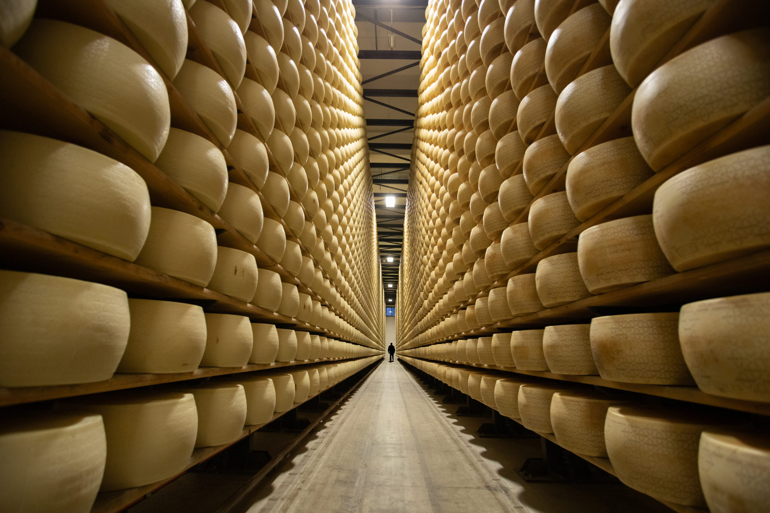 Claudio_Brambilla_6717_Selezione