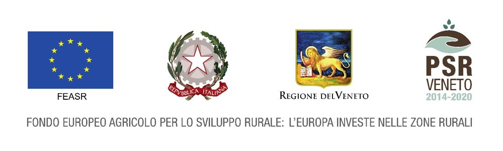 3b67ed45cbd53d4b172e41e51ac508104f3bea31 (1) 3b67ed45cbd53d4b172e41e51ac508104f3bea31 (1)