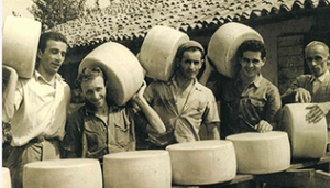 Img container 1 300x171