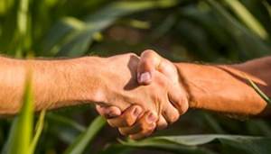 Soziale Nachhaltigkeit