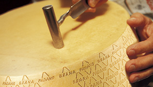 ilruolotutelaepromozione